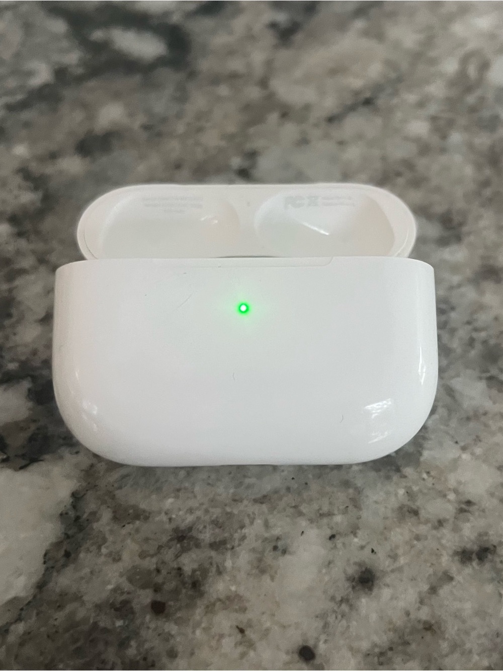 Apple AirPods Pro 1st Generation Charging Case (A2190)